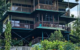 Greens Vista Homestay Wayanad Near Natural Stream And Pool